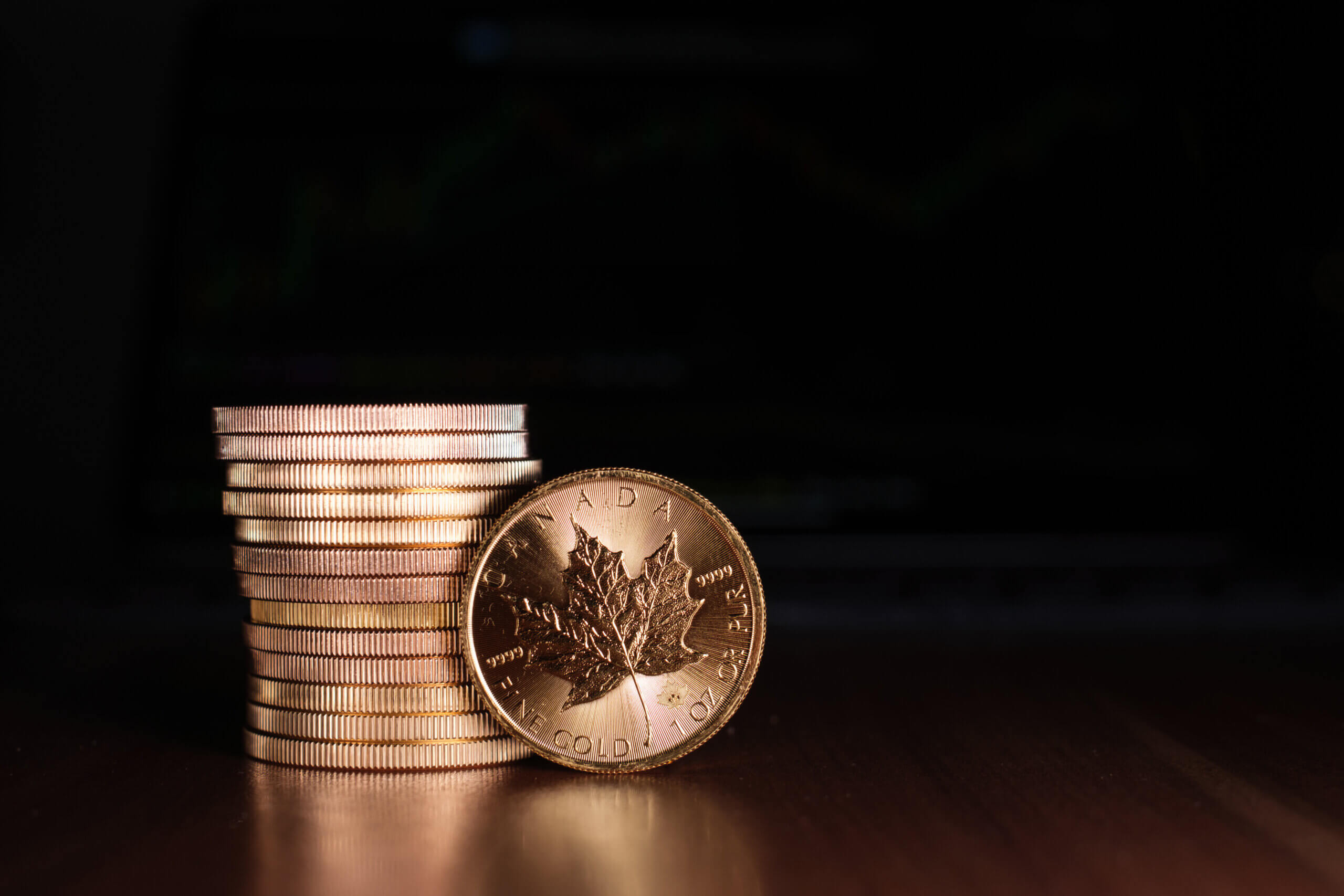 カナダのアンティークコイン特集 おすすめの金貨・銀貨を紹介 | コインライブラリー・プリンシパル