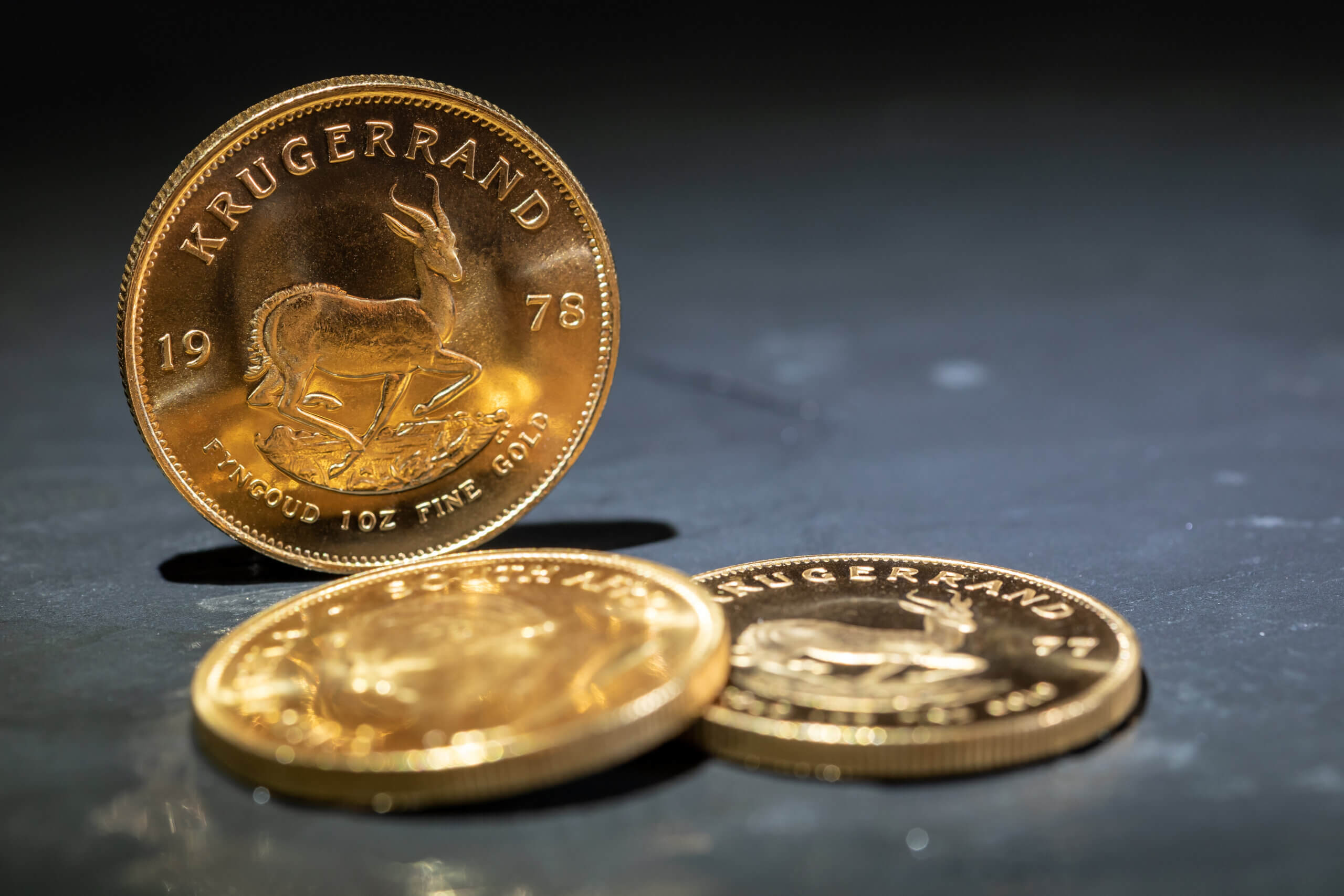 南アフリカのアンティークコイン特集 おすすめの金貨・銀貨を紹介 | コインライブラリー・プリンシパル