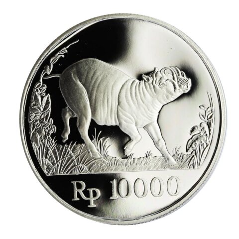 インドネシア バビルサ 10000ルピア銀貨 1987年