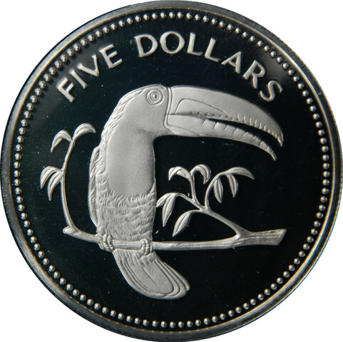 ベリーズ サンショクキムネオオハシ 5ドル銀貨 1975年