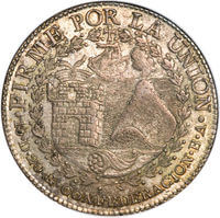 ペルー 太陽と城 8レアル銀貨 1838年