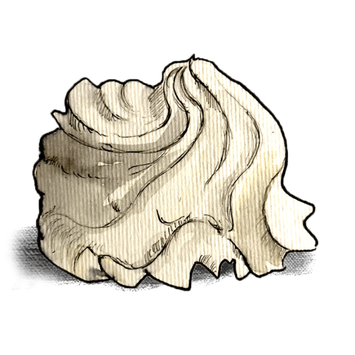 Cream（クリーム）