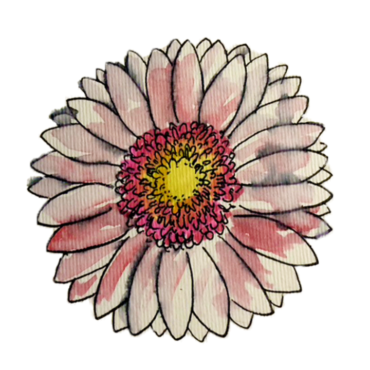Floral-Flower（フローラル）