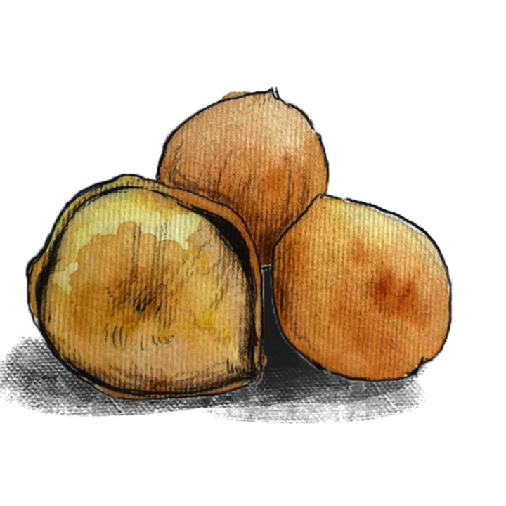 Hazelnut（ヘーゼルナッツ）