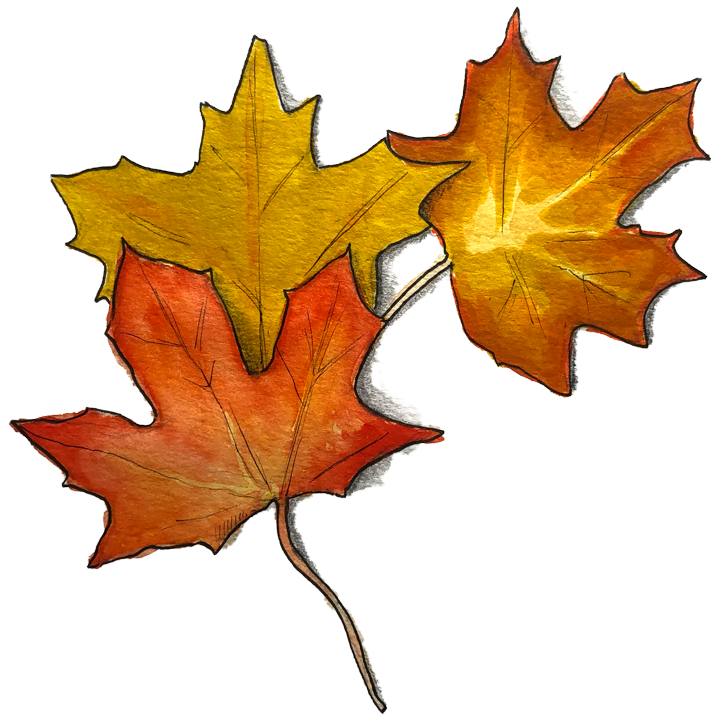Leaves（葉っぱ）