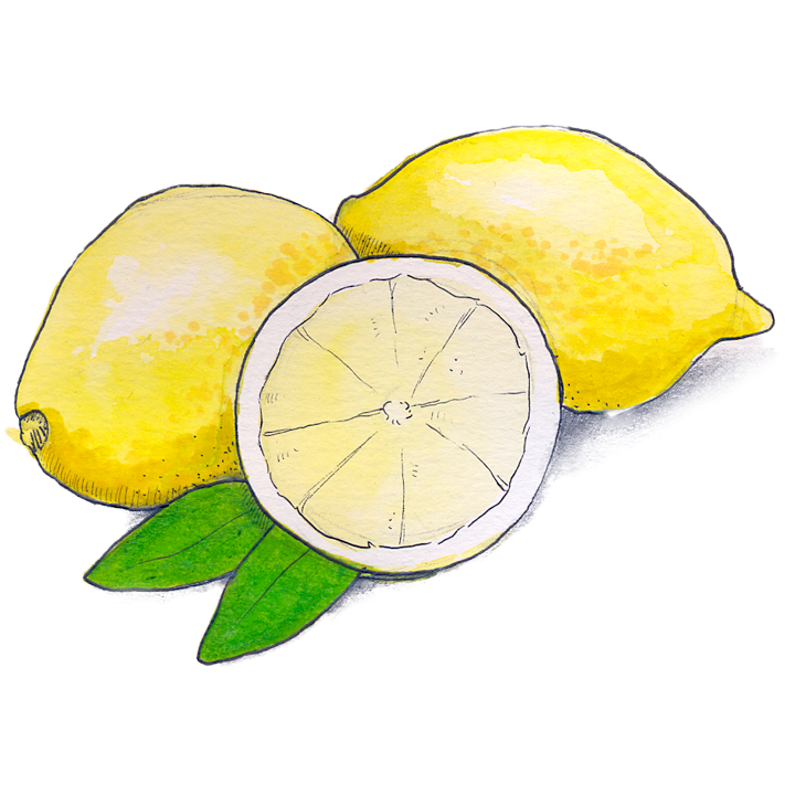 Lemon（レモン）