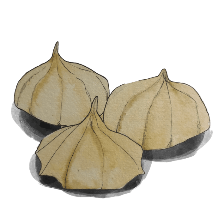 Meringues（メレンゲ）