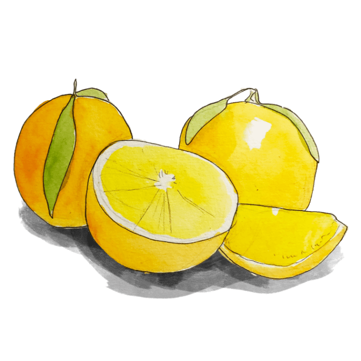 Orange（オレンジ）